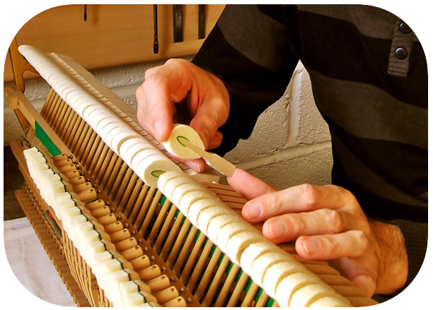 Alt text for the image